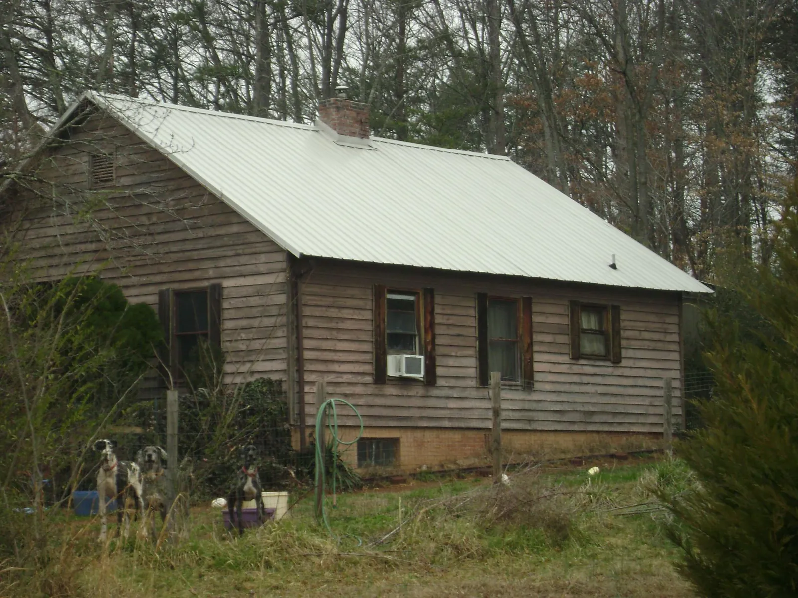 White metal roof on an old wood sided farmhouse, from a Asphalt Shingle Roof Repair job in Grandin